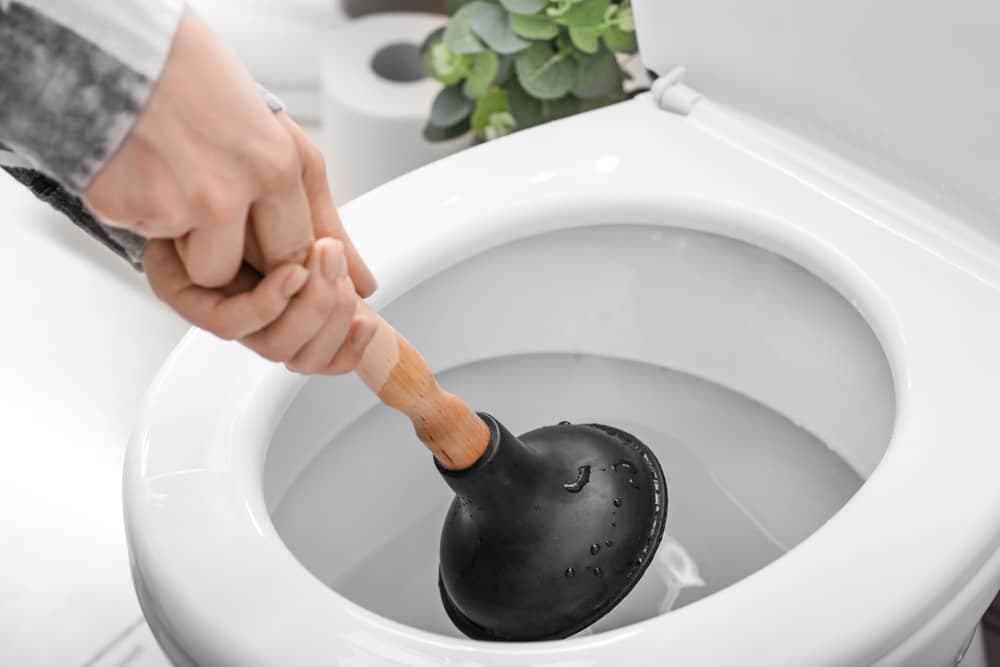 Industrial Toilet Plunger — view 2