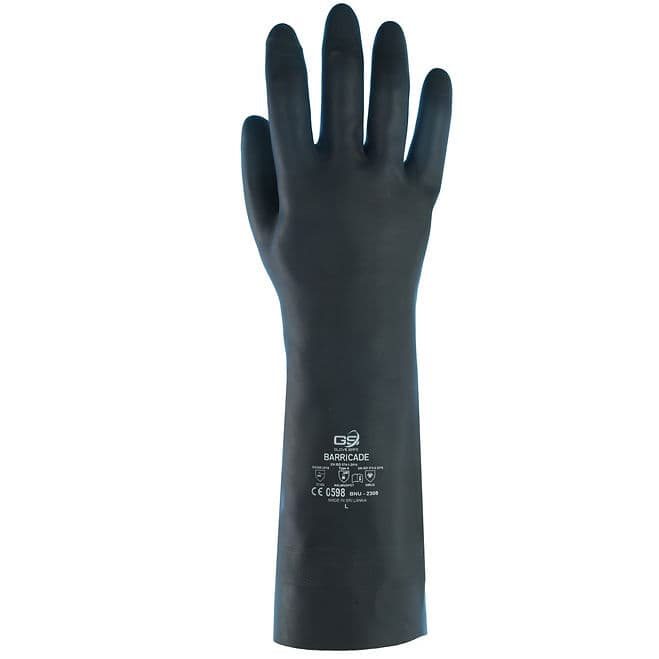 BNU-2308 — view 2