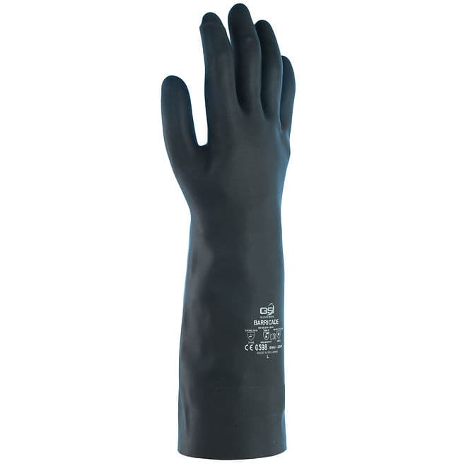 BNU-2308 — view 3