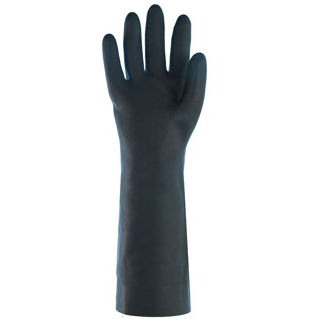 BNU-2308 — view 4