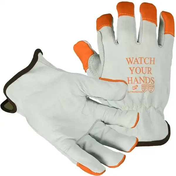 DG5 1401 Watch Your Hands Glove